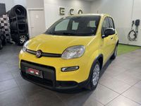 Usata Fiat Panda S 69 CV (50 kW) 2024 Giallo Utilitaria
