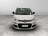 usata Fiat Panda Panda 1.2 -1.2 easy