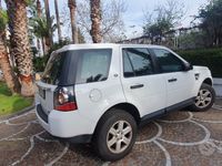 Usata Land Rover Freelander 2 S 150 CV (110 kW) 2014 Bianco SUV