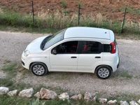 usata Fiat Panda PandaIII 2016 1.2 Easy s