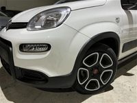 usata Fiat Panda Cross 1.0 FireFly S&S Hybrid City usato