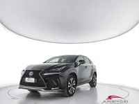 Usata Lexus NX300h Sport Line 292 CV (214 kW) 2021 Nero SUV