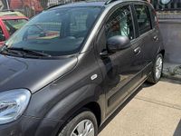 Usata Fiat Panda 69 CV (50 kW) 2016 Grigio Utilitaria