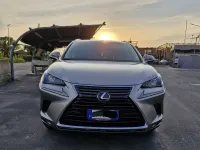 Usata Lexus NX300h Business Edition 155 CV (114 kW) 2018 Grigio SUV