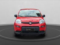 usata Fiat Panda New1.0 FireFly Hybrid City Life