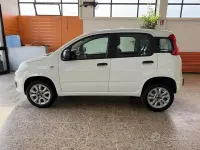Usata Fiat Panda Easy 80 CV (58 kW) 2017 Bianco Utilitaria