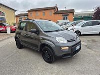 Usata Fiat Panda 4x4 S 86 CV (63 kW) 2019 Other Utilitaria