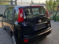 Usata Fiat Panda Easy 69 CV (50 kW) 2021 Utilitaria