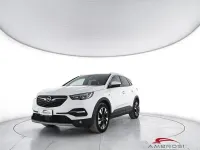 Usata Opel Grandland X Ultimate 120 CV (88 kW) 2018 Bianco SUV