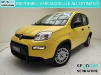 Usata Fiat Panda S 70 CV (51 kW) 2024 Giallo Utilitaria