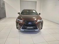Usata Lexus UX 250h Luxury Line 184 CV (135 kW) 2021 Bronzo SUV