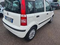 usata Fiat Panda 1.2 Dynamic NEOPATENTATI