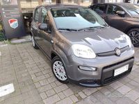 Usata Fiat Panda City Life 69 CV (50 kW) 2023 Grigio Utilitaria