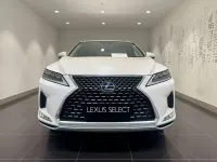 Usata Lexus RX450h Executive Line 262 CV (192 kW) 2019 Bianco perla SUV