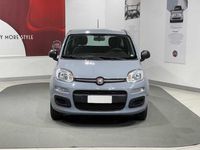 Occasion Fiat Panda Easy 69 ch (50 kW) 2020 Gris Citadine