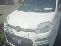 Usata Fiat Panda 69 CV (50 kW) 2017 Bianco Utilitaria