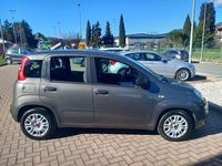 Usata Fiat Panda S 69 CV (50 kW) 2021 Grigio Utilitaria
