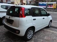 Usata Fiat Panda Easy 69 CV (50 kW) 2019 Bianco Berlina