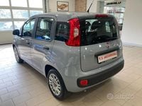 Usata Fiat Panda S 70 CV (51 kW) 2022 Grigio Utilitaria