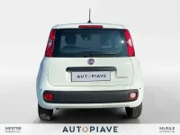 Usata Fiat Panda S 69 CV (50 kW) 2025 Bianco Utilitaria