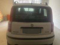 Usata Fiat Panda 2010 Bianco Utilitaria