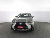 Usata Lexus NX350h Business Edition 190 CV (139 kW) 2026 Sonic titanium SUV