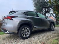 Usata Lexus NX300h Executive Line 155 CV (114 kW) 2018 SUV