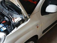 Usata Fiat Panda 2014 Bianco Utilitaria