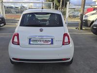 Usata Fiat 500 Dolcevita 69 CV (50 kW) 2022 Bianco Berlina