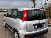 Usata Fiat Panda Pop 69 CV (50 kW) 2014 Grigio Utilitaria