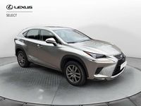 Usata Lexus NX300h Executive Line 197 CV (144 kW) 2020 Grigio SUV