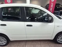 Usata Fiat Panda Easy 69 CV (50 kW) 2020 Bianco Utilitaria
