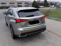 Usata Lexus NX300h Luxury Line 155 CV (114 kW) 2019 Argento SUV