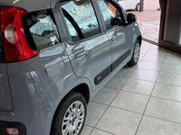 Usata Fiat Panda Easy 2019 Grigio Utilitaria