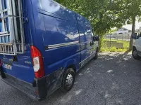 Usata Peugeot Boxer 101 CV (74 kW) 2014 Furgone