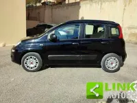 Usata Fiat Panda Easy 95 CV (69 kW) 2016 Nero Utilitaria