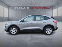 Usata Ford Kuga Titanium X 150 CV (110 kW) 2024 Grigio SUV