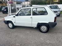 Usata Fiat Panda 54 CV (39 kW) 2003 Bianco Utilitaria