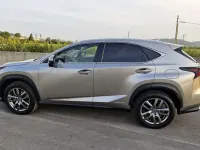 Usata Lexus NX300h Business Edition 155 CV (114 kW) 2018 Grigio SUV