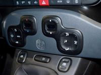 Usata Fiat Panda Cross Cross 70 CV (51 kW) 2024 Bianco Utilitaria