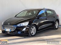 usata Ford Focus 1.5 EcoBlue 120 CV 5p. Business del 2019 usata a Albano Laziale