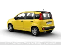 Usata Fiat Panda S 70 CV (51 kW) 2024 Giallo Utilitaria