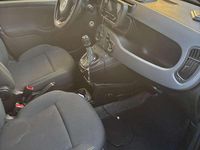 Usata Fiat Panda S 69 CV (50 kW) 2024 Utilitaria