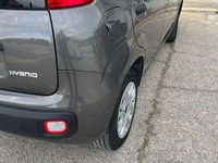 Usata Fiat Panda 69 CV (50 kW) 2021 Grigio Utilitaria