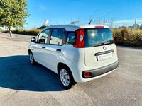 Usata Fiat Panda Easy 69 CV (50 kW) 2017 Bianco Utilitaria