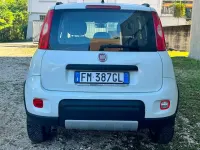 Usata Fiat Panda 4x4 S 80 CV (58 kW) 2017 Bianco Utilitaria