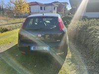 Usata Fiat Punto 2014 Berlina