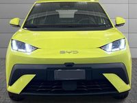 Nuova BYD Dolphin Surf Boost 65 kW (89 CV) 2026 Lime green Utilitaria