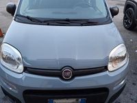 Usata Fiat Panda Easy 69 CV (50 kW) 2018 Grigio Utilitaria