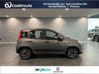 usata Fiat Panda Cross 1.0 FireFly S&S Hybrid City